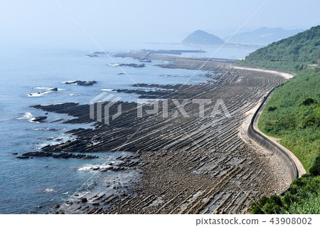 初夏的日南海岸 43908002