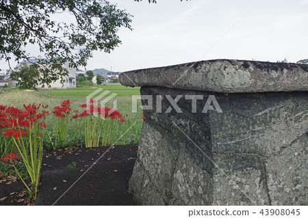 Shinto shrine Shinto shrine 43908045