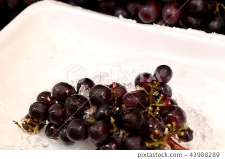 Grape fruit on the ice Grape fruit on the ice 43908289
