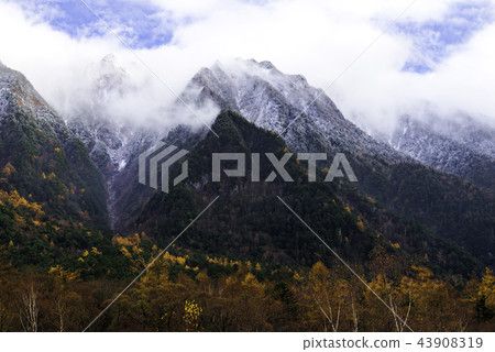 Landscape of snow and autumn leaves 43908319