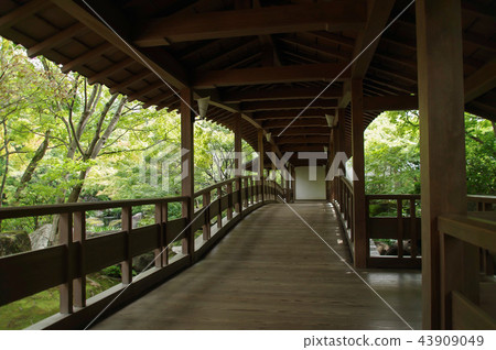 Kokoen, Crossing Corridor 43909049