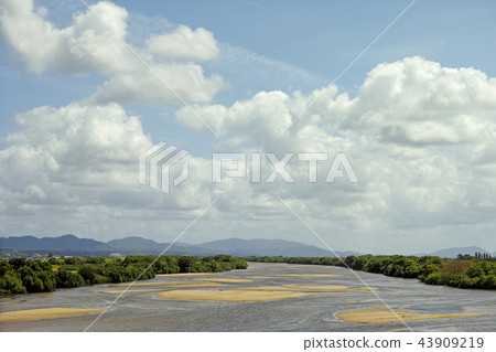 Aoi河在夏天從出雲市的Nishidai橋看 Aoi河在夏天從出雲市的Nishidai橋看 43909219