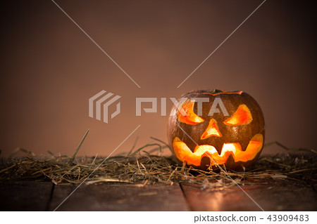 Halloween pumpkins on wooden planks. Halloween pumpkins on wooden planks. 43909483