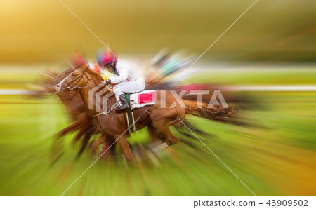 Race horses with jockeys on the home straight Race horses with jockeys on the home straight 43909502