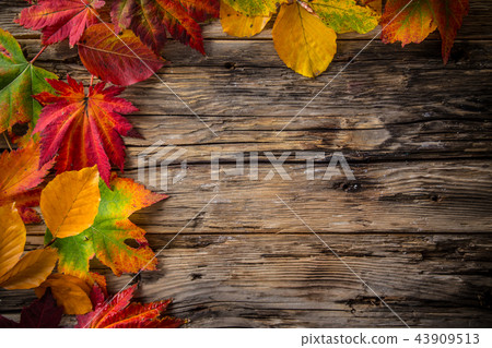 Autumn leaves on old rustic wooden background. Autumn leaves on old rustic wooden background. 43909513