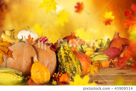 Autumn still-life with pumpkins and leaves. 43909514