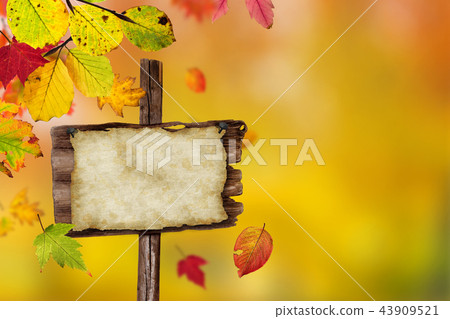 Falling autumn leaves background. Lots of copy space. Falling autumn leaves background. Lots of copy space. 43909521