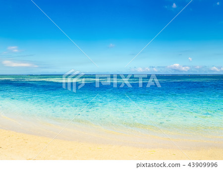 Sandy tropical beach. Beautiful landscape. Sandy tropical beach. Beautiful landscape. 43909996