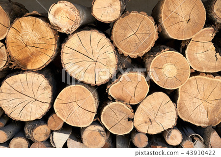 Section of wood firewood 43910422