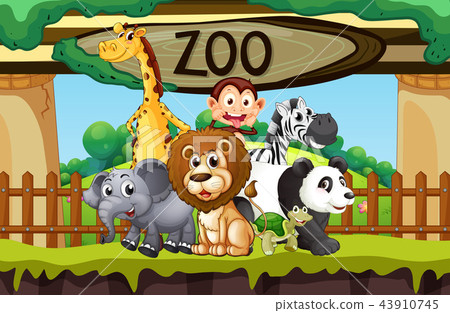 Wild animals at the zoo 43910745