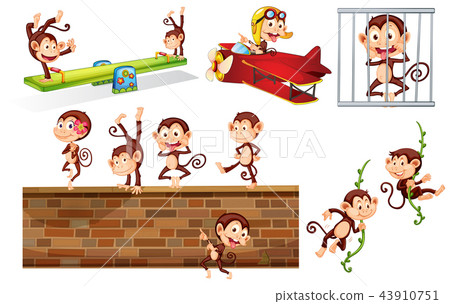 A set of playful monkey 43910751