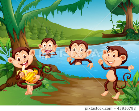 Monkey playing at the lake Monkey playing at the lake 43910798