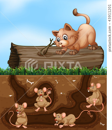 A cat waiting for rat at hole 43911201