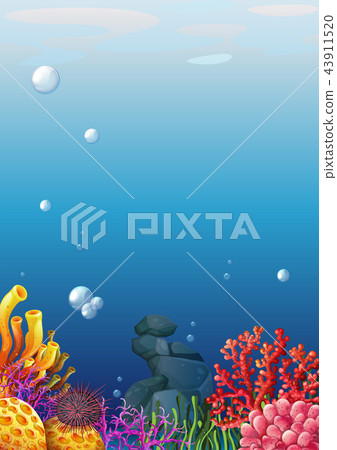 A beautiful underwater view A beautiful underwater view 43911520