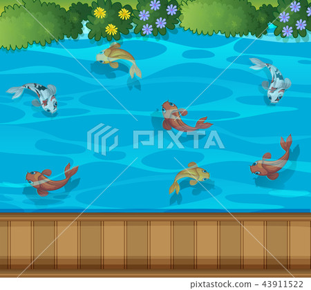 Koi fish pond aerial view Koi fish pond aerial view 43911522
