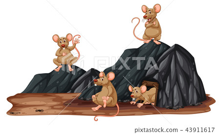 A rat in a hole 43911617