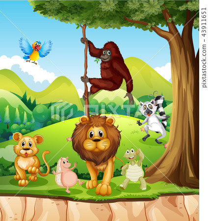Wild animals in the jungle Wild animals in the jungle 43911651
