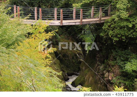 Landscape of Nagoma Falls Park in Shimoshiro, Oguni Town Landscape of Nagoma Falls Park in Shimoshiro, Oguni Town 43911775