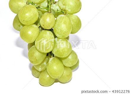 Grape (Rosario Bianco) 43912276