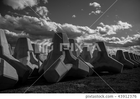 Landscape shadow reflection agave nature tank tetra pot Landscape shadow reflection agave nature tank tetra pot 43912376