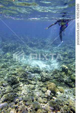 享受海洋休閒的兒童 享受海洋休閒的兒童 43912600