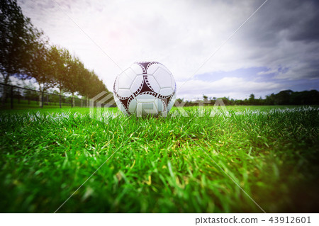 Soccer ball on marking line 43912601