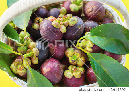 Mangostin Leaves Tropical Fruits in white basket 43913892