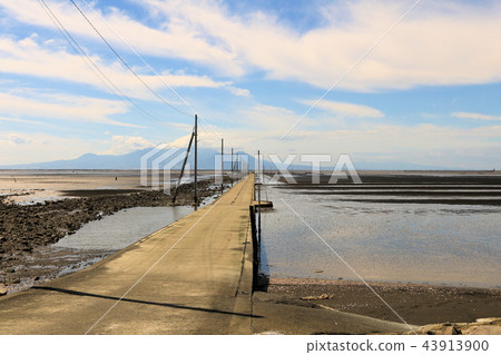 Midway of the sea that appears in low tide 43913900