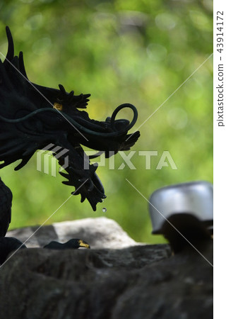 The dragon of Kosenji's handwashing house in Tokushima Mima city Mishima town The dragon of Kosenji's handwashing house in Tokushima Mima city Mishima town 43914172