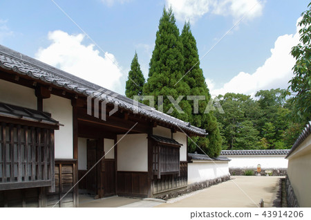 Kokoen，松樹的花園 43914206