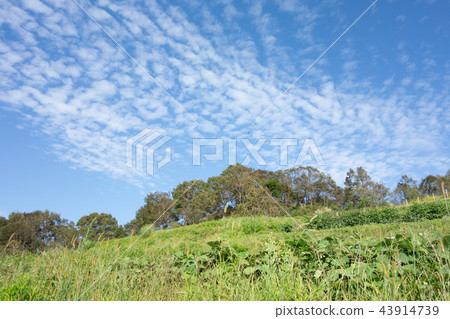 艾娜里山公園 艾娜里山公園 43914739