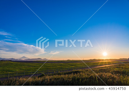 (Shizuoka Prefecture) Mt. Fuji Shizuoka Airport Runway and Mt. Fuji sunrise 43914750