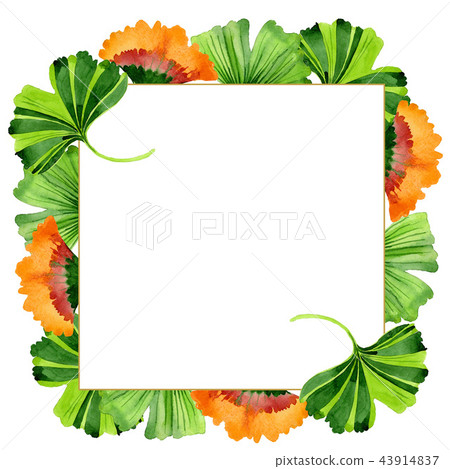 Colorful leaves ginkgo. Leaf plant botanical garden floral foliage. Frame border ornament square. 43914837