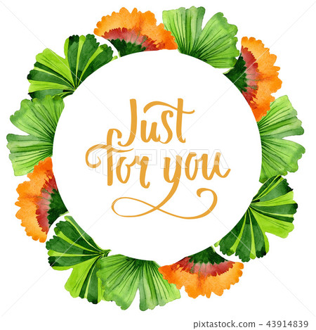 Colorful leaves ginkgo. Leaf plant botanical garden floral foliage. Frame border ornament square. Colorful leaves ginkgo. Leaf plant botanical garden floral foliage. Frame border ornament square. 43914839
