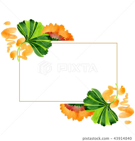 Colorful leaves ginkgo. Leaf plant botanical garden floral foliage. Frame border ornament square. Colorful leaves ginkgo. Leaf plant botanical garden floral foliage. Frame border ornament square. 43914840