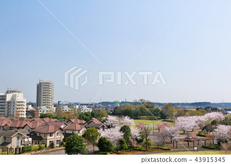 Cityscape with cherry blossoms Cityscape with cherry blossoms 43915345