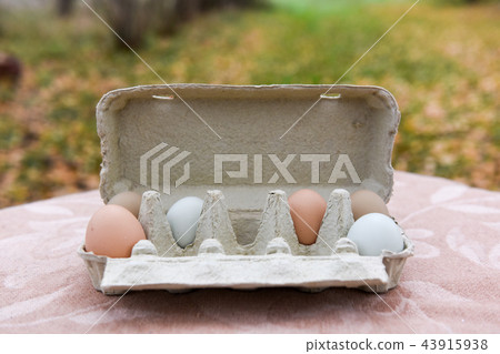egg box outside egg box outside 43915938