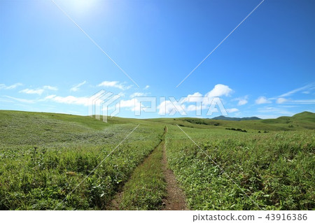 Rishiri Island, Hokkaido 43916386