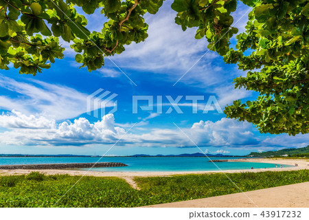 沖繩海 43917232