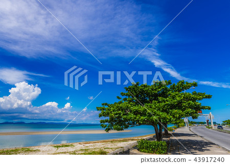 Okinawa sea and summer clouds Okinawa sea and summer clouds 43917240