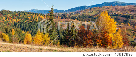Autumn Carpathian village, Ukraine. 43917983