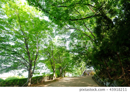 栗田美術館（大田門左側的斜坡） 43918211