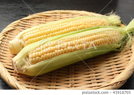 Corn Corn 43918705