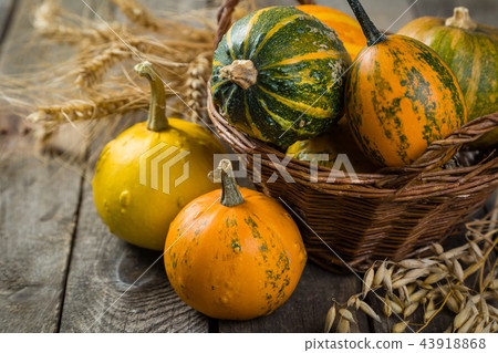 Thanksgiving concept - decorations with pumpkins 43918868