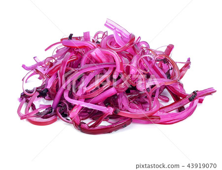 Red seaweed isolated on white background. Red seaweed isolated on white background. 43919070