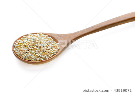 Organic Quinoa (Chenopodium quinoa) seeds Organic Quinoa (Chenopodium quinoa) seeds 43919071
