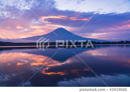 [Shizuoka Prefecture] Mt. Fuji from Lake Tanuki dyed in the morning burn 43919088