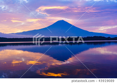 [Shizuoka Prefecture] Mt. Fuji from Lake Tanuki dyed in the morning burn 43919089