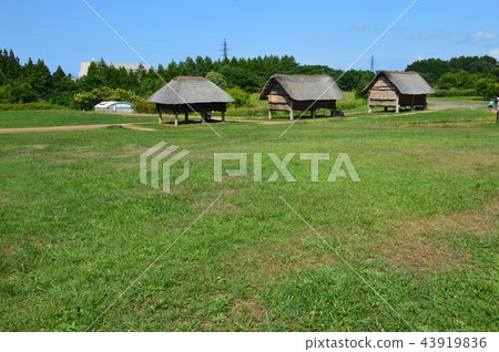 廢棄的柱子建築（青森郡青森市三內丸山遺址/大字三內丸山） 43919836