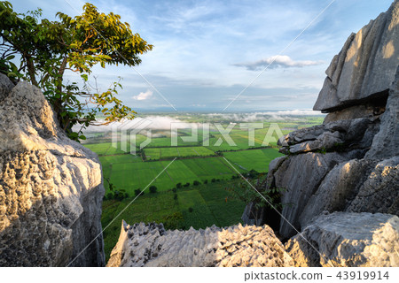 View of the rice field from the top of Khao Nor 43919914